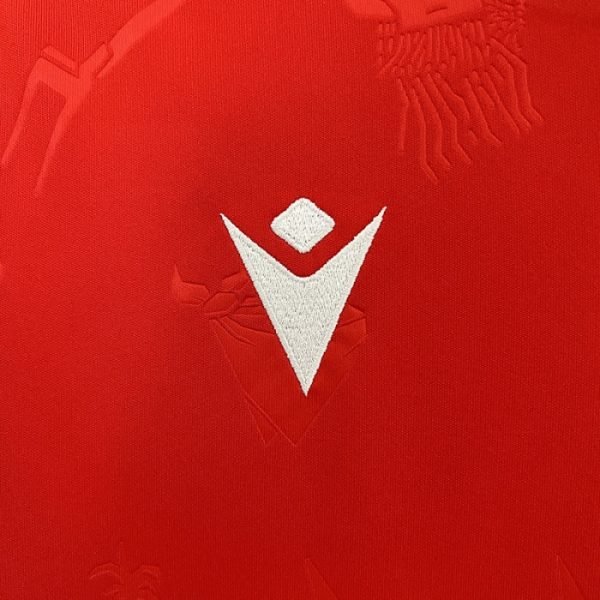 1ª Equipación Osasuna 2024/25 - Imagen 7
