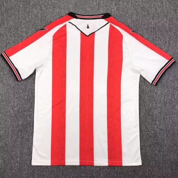1ª Equipación Stoke City 2024/25 - Imagen 2