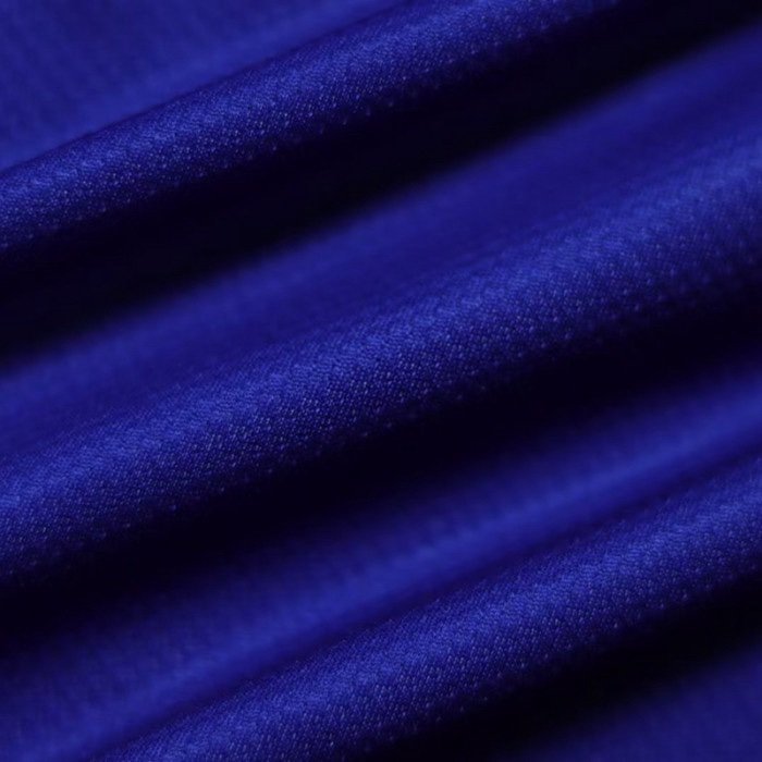 1ª Equipación Barcelona 2008/09 - Imagen 5