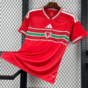 1ª Equipación Gales 2026/27