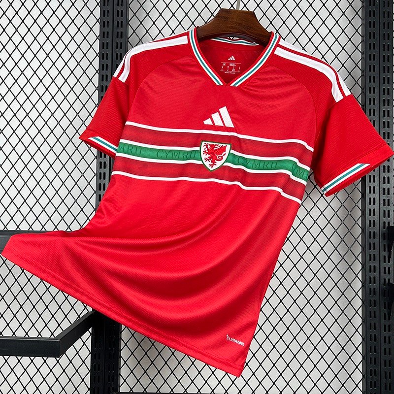 1ª Equipación Gales 2026/27